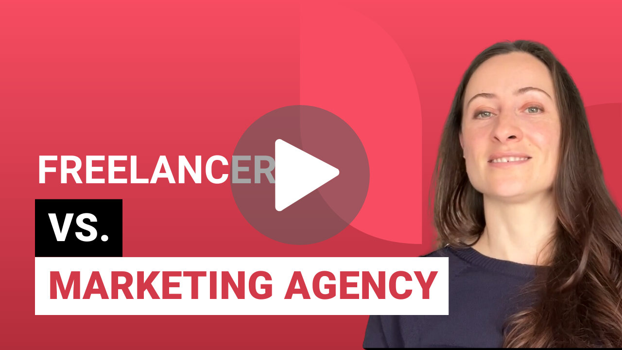Freelancer vs Marketing Agency Video